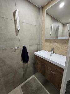 兹沃勒Almelose Kanaal的带淋浴、盥洗盆和镜子的浴室