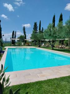 帕拉伊阿Agriturismo La Ca'Solare的一座大游泳池,位于一个树木繁茂的庭院内