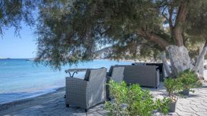 阿波罗尼亚Floras Rooms的两把椅子坐在海滩上树下