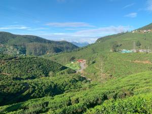 努沃勒埃利耶Aaradhya Nuwara Eliya的享有绿意盎然的山谷和 ⁇ 曲折的道路的景色