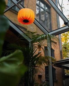 柏林sly Berlin的挂在建筑物前植物上的橙色光