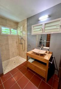 哥西尔La Voile Grise - Villa de charme - Sea View的一间带水槽和淋浴的浴室