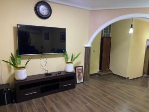 阿克拉Coolzzy GM247 Homes-Accra Kwabenya Villas的客厅配有平面电视和2种植物