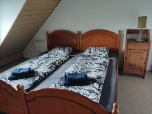 蒂豪尼Peace & Beach House in Tihany, Sajkod的一张床上有两个蓝色枕头的房间