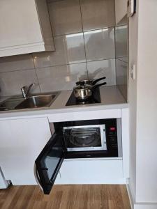 ChestertonQuiet, Private Studio Flat in Cambridge City Centre, CB1的一间带水槽和微波炉的小厨房