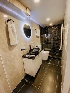 第比利斯Luxury Duplex Studios - City Center的一间带水槽、卫生间和淋浴的浴室