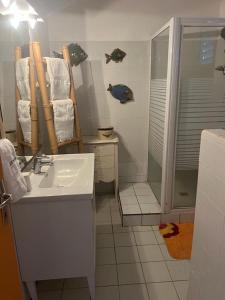 圣弗朗索瓦Le Neem的一间带水槽和淋浴的浴室
