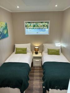 佩尼库克South Black Hill的小客房内的两张床,配有绿色枕头