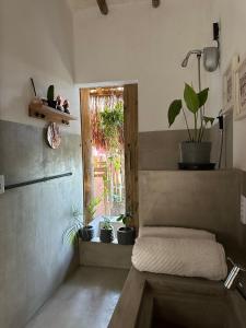普拉杜Casa Chão的一间设有盆栽和窗户的长凳的房间