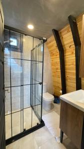Irmak Vadi Bungalov Zonguldak的一间带玻璃淋浴和卫生间的浴室