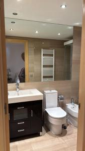 奥尔迪诺Appartement au coeur d'Ordino的一间带卫生间、水槽和镜子的浴室