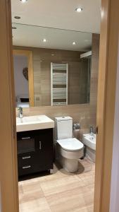奥尔迪诺Appartement au coeur d'Ordino的一间带卫生间、水槽和镜子的浴室