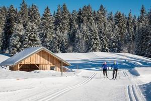 莱代塞尔Studio 2 pers avec accès piscine et sauna的两人在雪上滑雪,在小屋前