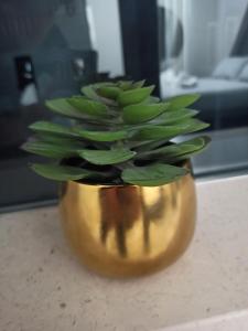 基耶蒂Le Mirage的金花瓶中的绿色植物