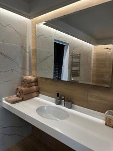 ProkhorovkaPark-Hotel Tihiy Les的一间带水槽和大镜子的浴室