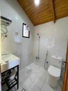 欧拉منتجع ريف العلا的一间带卫生间和水槽的浴室