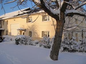 Cattenom克劳斯杜威戈尔住宿加早餐旅馆的前面有一棵树,有雪盖的房子