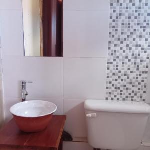 卡奇Cabaña Cachi的一间带水槽、卫生间和镜子的浴室
