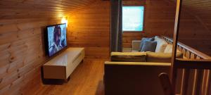 耶姆赛Himos, Areenan alue的带沙发和平面电视的客厅