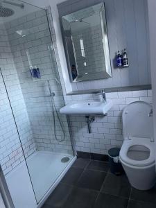 奥克姆The Angler, Oakham的浴室配有卫生间、盥洗盆和淋浴。