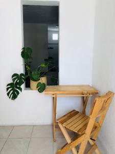 瓜达拉哈拉Casa Tanah的一张木桌和一把椅子