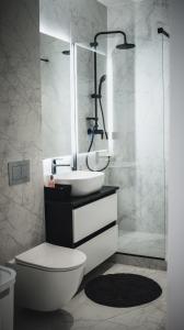 克卢日-纳波卡MA Housing West Tower - 13th, 12th, 9th floor的浴室配有卫生间、盥洗盆和淋浴。
