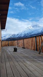 塞罗别墅卡斯蒂略Cabañas y Restaurante Ruta 7 sur的一只猫躺在木甲板上,上面有雪覆盖的山