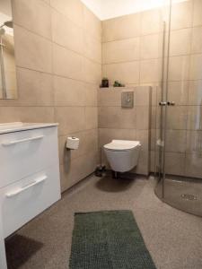 教堂城Stracta Apartments的一间带卫生间和玻璃淋浴间的浴室