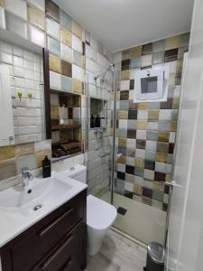 阿尔科斯-德拉弗龙特拉Apartamento Santa María的浴室配有卫生间、淋浴和盥洗盆。