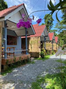 象岛KANNIKA RESORT的一排紫色花的小屋