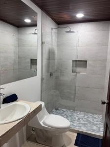福尔图纳Mevak Apartments Suites的带淋浴、卫生间和盥洗盆的浴室