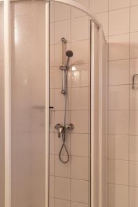穆劳附近圣格奥尔根My Chalet In Murau的浴室内配有淋浴和头顶淋浴