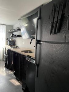 艾斯拜瑞Unique Style Apartment的厨房配有黑色冰箱和水槽