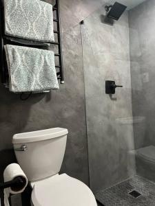 艾斯拜瑞Unique Style Apartment的浴室设有卫生间和带毛巾的淋浴。