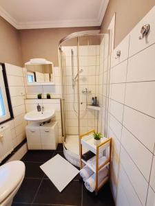帕德博恩City Apartment Paderborn Apartment 6的带淋浴、卫生间和盥洗盆的浴室