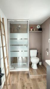 Plaisance-du-TouchCharmant Studio Cosy的一间带玻璃淋浴和卫生间的浴室