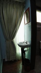 拉瑙Highland Homestay Kundasang的一间带水槽和淋浴帘的浴室