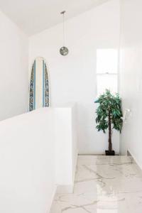 伊莎贝拉Paradise Coast PR Rooftop Suite的白色的室内冲浪板,有盆栽