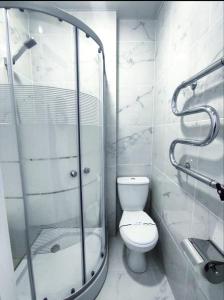 波尔塔瓦Atlas Hotel的一间带卫生间和玻璃淋浴间的浴室