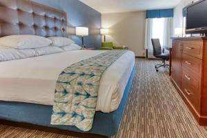 芬顿芬顿圣路易斯德鲁酒店的酒店客房设有一张大床和一台电视。