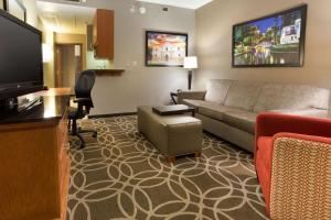 圣安东尼奥圣安东尼奥河滨德鲁利套房酒店的带沙发和平面电视的客厅