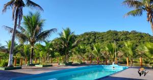 Sete BarrasPousada Fazenda Vale Verde的一座棕榈树环绕的游泳池