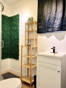 里弗维尤HideOut City的一间带卫生间和绿色墙壁的浴室