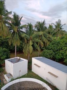 RAJAM FARM HOUSE的两棵棕榈树和两座棕榈树白色建筑
