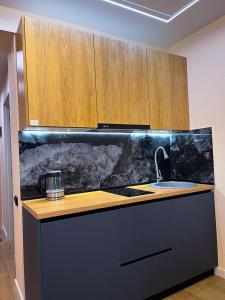 古多里New Gudauri F4的一个带水槽和木柜的厨房台面