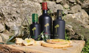 卡萨莱马里蒂莫Agriturismo Ai Massi的桌子上摆放着三瓶葡萄酒,配面包
