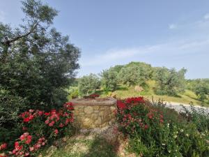 卡萨莱马里蒂莫Agriturismo Ai Massi的鲜花和石墙花园