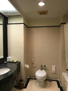 Ban Ru Sa Mi Laeโรงแรม ซี.เอส. ปัตตานี的一间带卫生间和水槽的浴室