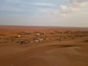 BadīyahSunrise Desert Local Private Camp的一群人在沙漠骑骆驼