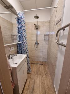 罗亚Hostel Mare的带淋浴、盥洗盆和卫生间的浴室